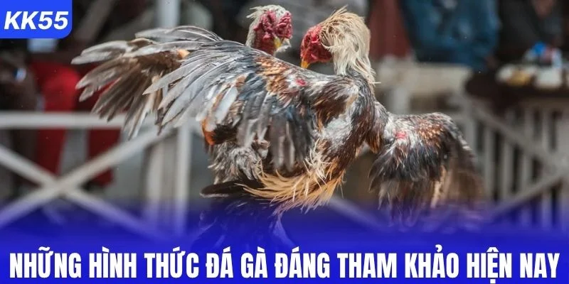Những hình thức đá gà đáng tham khảo hiện nay