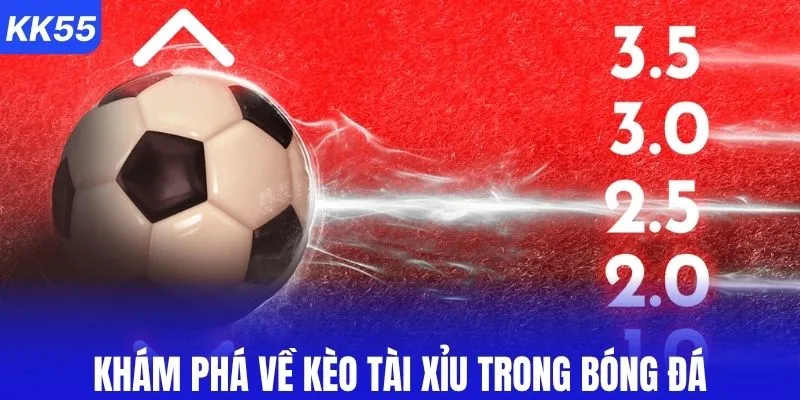 Tìm hiểu cơ bản kèo tài xỉu trong bóng đá